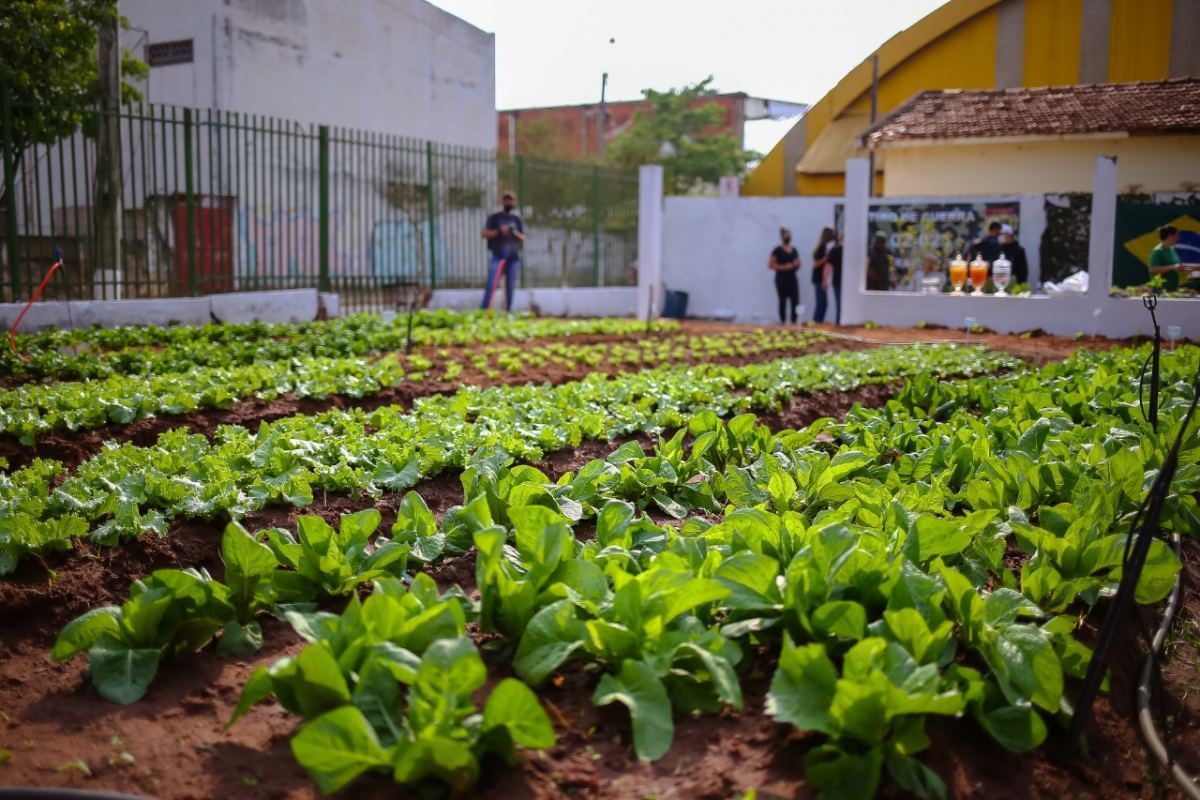 Sindicato Rural está com inscrições abertas para Programa Jovem Agricultor do Futuro e mais 2 cursos