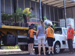 Plantio de árvores conta com participação de munícipes no bairro Regissol