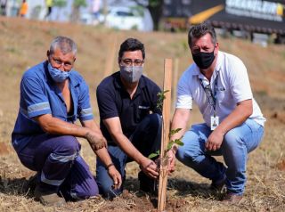 Plantio de árvores conta com participação de munícipes no bairro Regissol