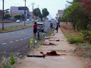 Plantio de árvores conta com participação de munícipes no bairro Regissol