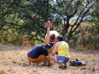 Plantio de árvores conta com participação de munícipes no bairro Regissol