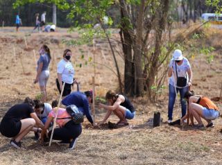 Plantio de árvores conta com participação de munícipes no bairro Regissol