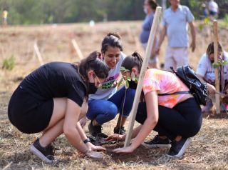 Plantio de árvores conta com participação de munícipes no bairro Regissol