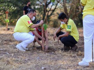 Plantio de árvores conta com participação de munícipes no bairro Regissol