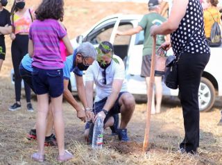 Plantio de árvores conta com participação de munícipes no bairro Regissol