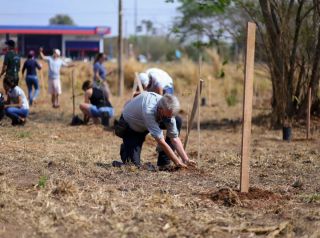 Plantio de árvores conta com participação de munícipes no bairro Regissol