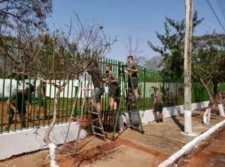 Com apoio de parceiros, Mirassol lança Projeto Jovem Agricultor do Futuro