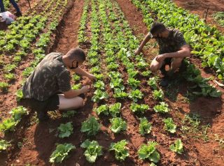 Com apoio de parceiros, Mirassol lança Projeto Jovem Agricultor do Futuro