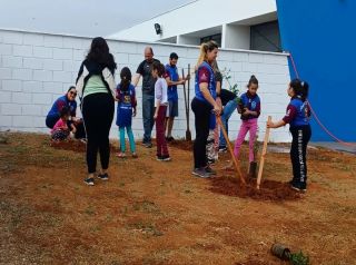 Iniciativa de arborização na creche do Parque das Flores reforça compromisso ambiental em Mirassol