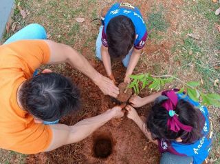 Iniciativa de arborização na creche do Parque das Flores reforça compromisso ambiental em Mirassol