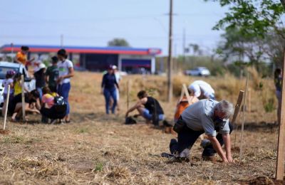 Plantio de árvores conta com participação de munícipes no bairro Regissol