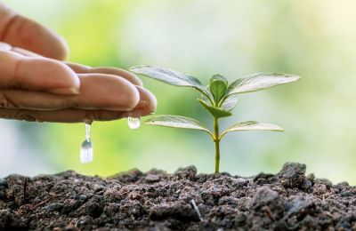 DIA MUNDIAL DA ÁGUA: Mirassol celebra a data com ações de educação ambiental